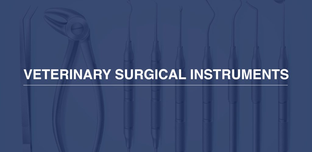 VETERINARY SURGICAL